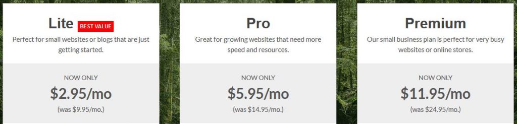 Which are the 10 Best Adult Web Hosting Providers? 35 Greengeek offers